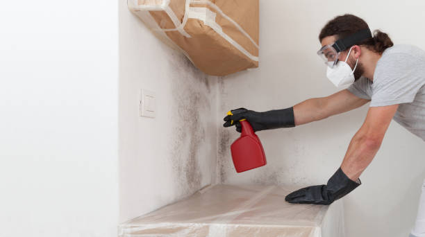 Professional Mold Testing technician working in Hanscom AFB, MA