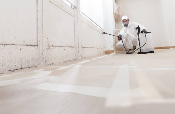 24/7 Emergency Mold Testing experts in Hanscom AFB, MA