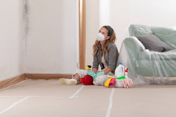 Reliable Mold Testing contractor in Hanscom AFB, MA by WQB Mold Removal