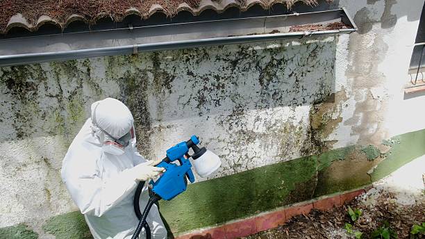 Top rated local Mold Testing specialists in Hanscom AFB, MA